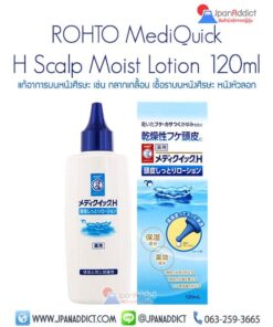 ROHTO MediQuick H Scalp Moist Lotion 120ml