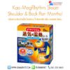 Kao MegRhythm Steam Shoulder & Back Pain Menthol