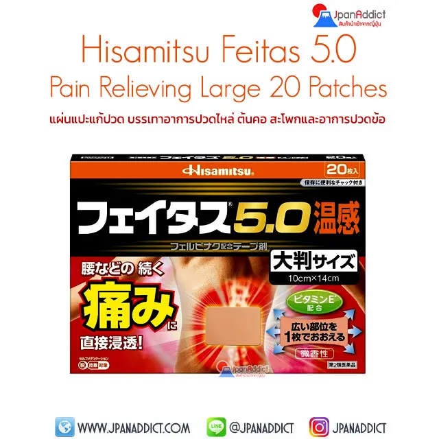 Hisamitsu Feitas 5.0 Pain Relieving Large Patch 20 Patches