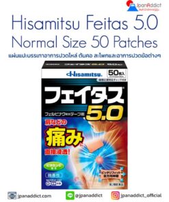 Hisamitsu Feitas 5.0 Pain Relieving Patch Normal Size 50