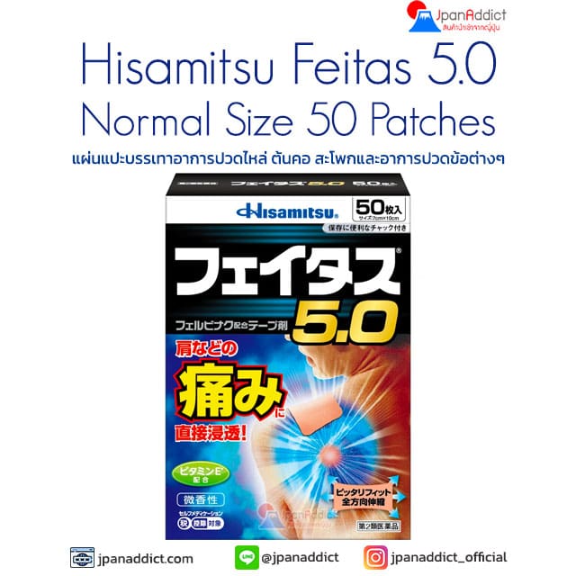 Hisamitsu Feitas 5.0 Pain Relieving Patch Normal Size 50