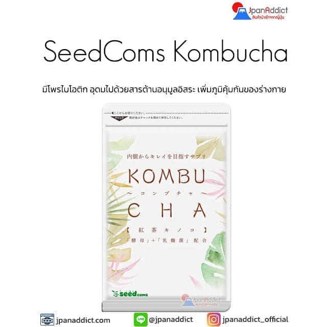 Seedcoms Kombucha 90เม็ด ชาหมัก อุดมไปด้วย โพรไบโอติก